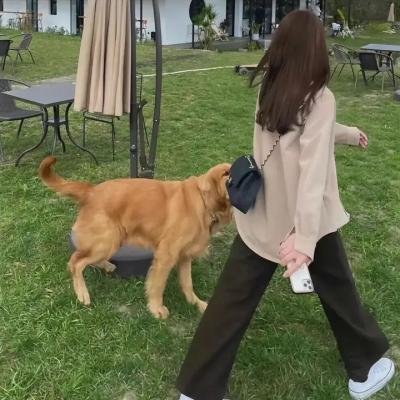 独角兽之死